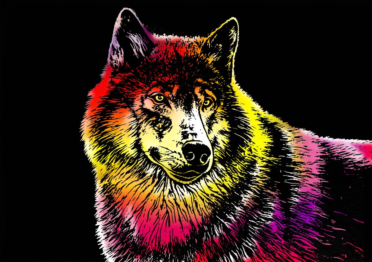Wild Animals Collection
