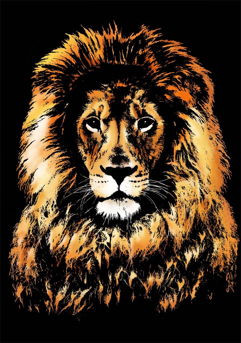 Wild Animals Collection