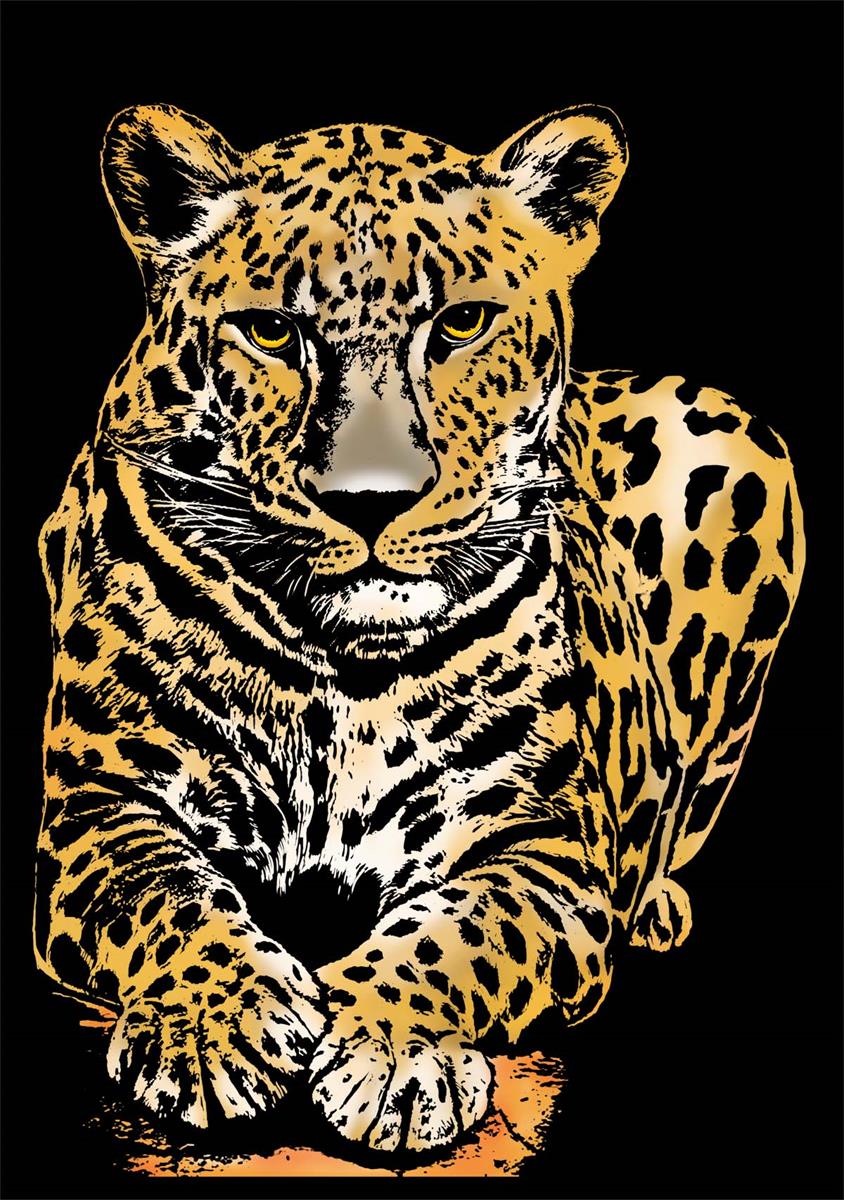 Wild Animals Collection