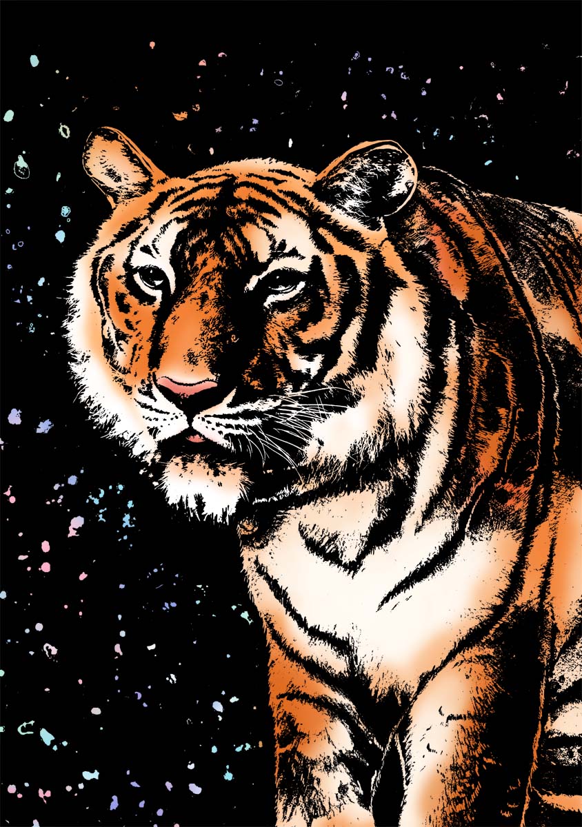 Wild Animals Collection