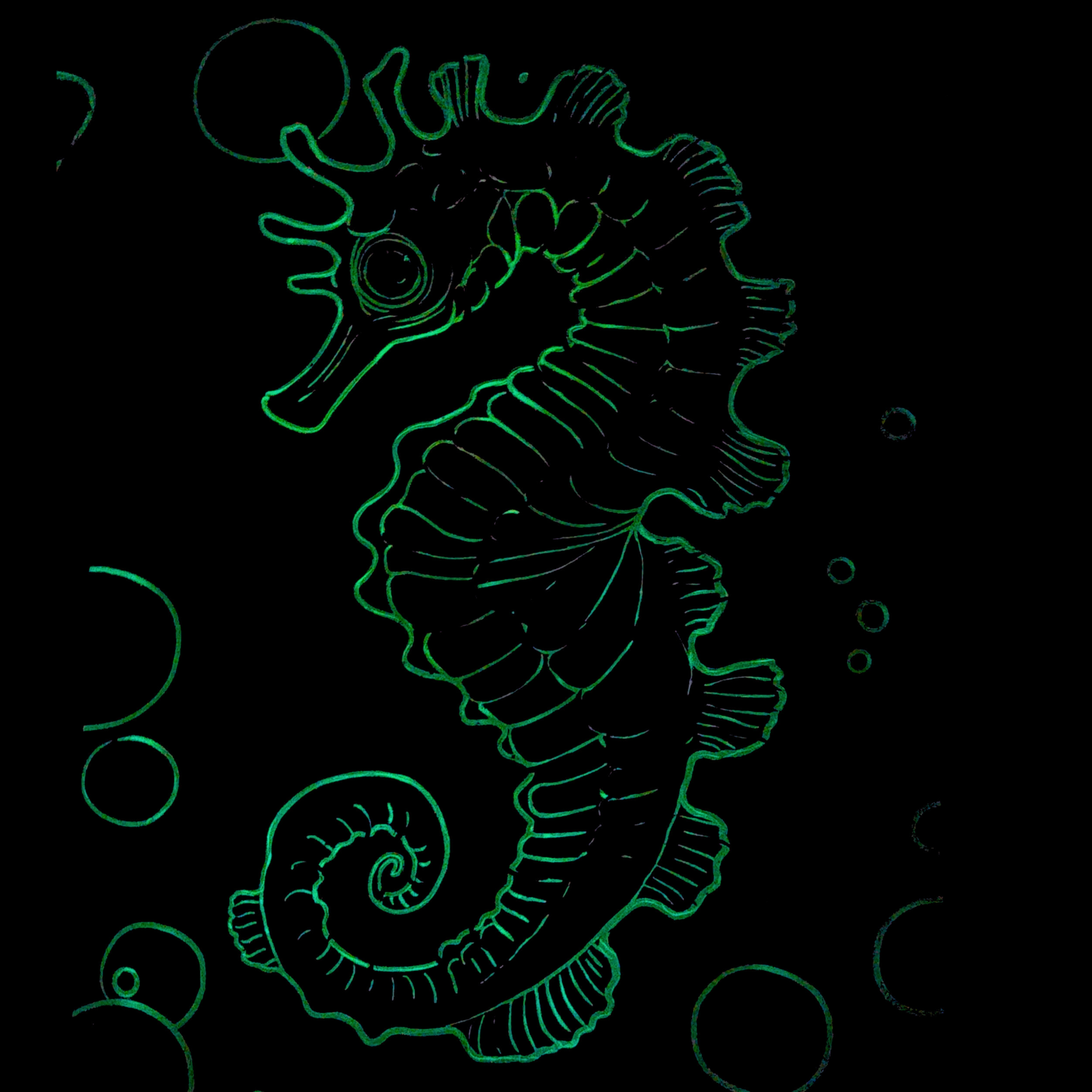 Deep Sea Bundle