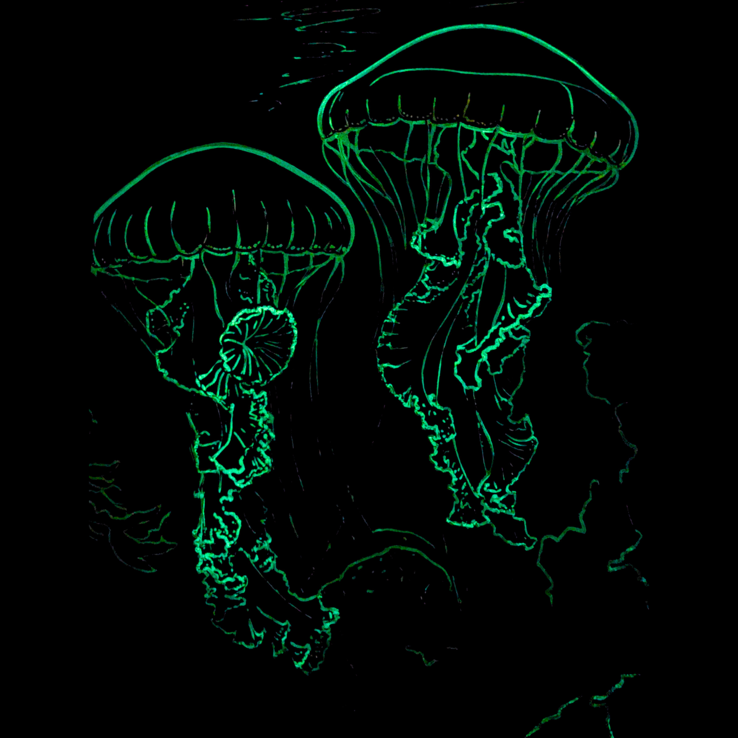 Deep Sea Bundle